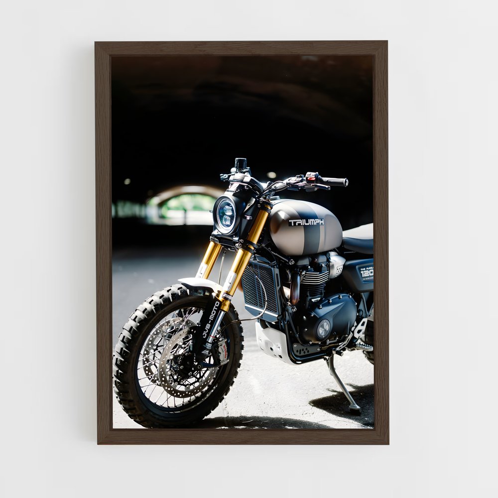 Poster Tunnel Rider – affiche Triumph (vue 5)